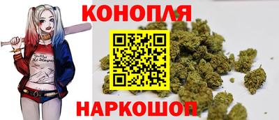 дмт Будённовск