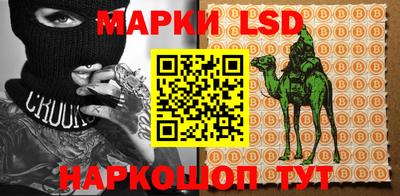 дмт Будённовск