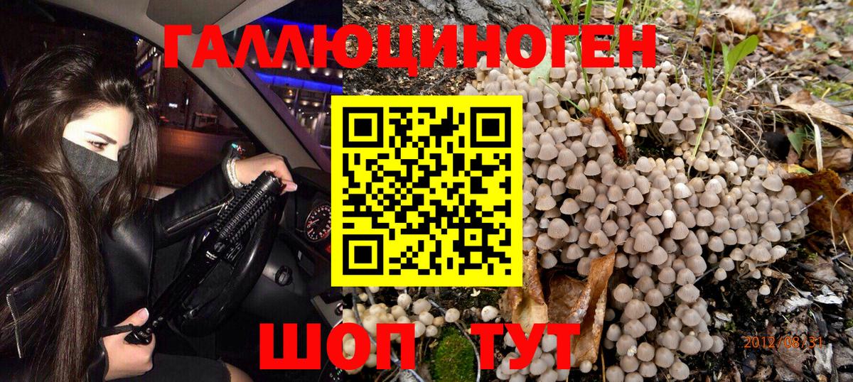 наркотики  Вход с VPN  Ставрополь  Галлюциногенные грибы MAGIC MUSHROOMS 